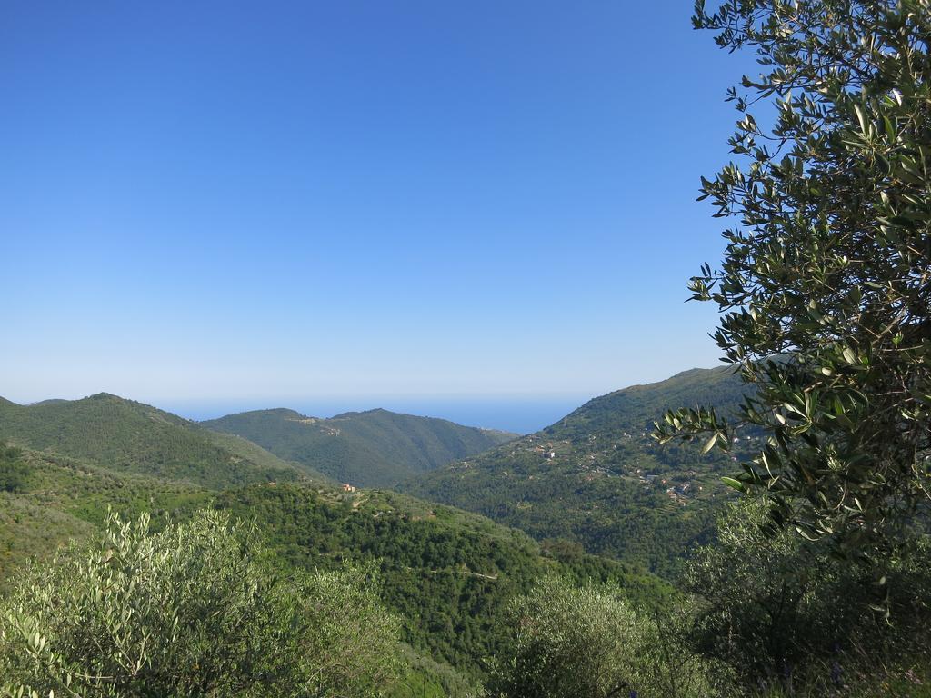Villa Rustic Liguria à Ceriana Extérieur photo